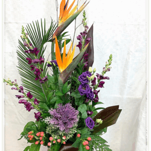Corbeille exotique dans un pot en terre cuite (JG-0168-BAB) $165