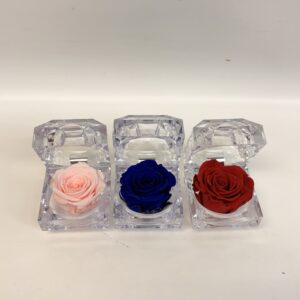 La Rose Éternelle Diamant (1.34"x1.34") $15
